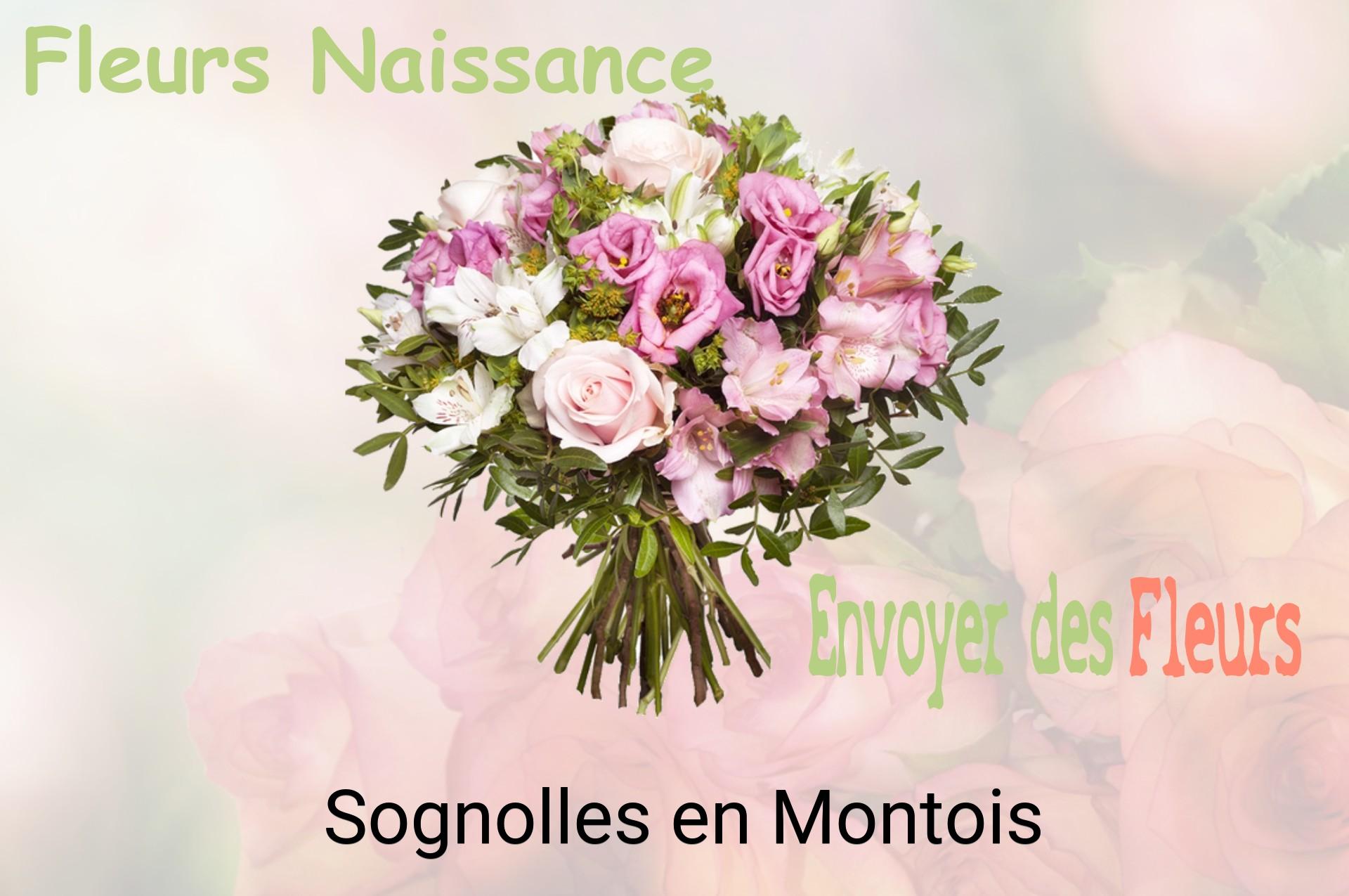 Bouquet de fleurs de naissance livré à Sognolles-en-Montois